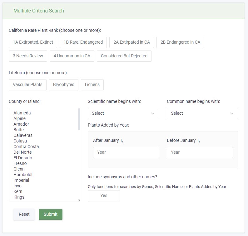 Simple Search Form Image